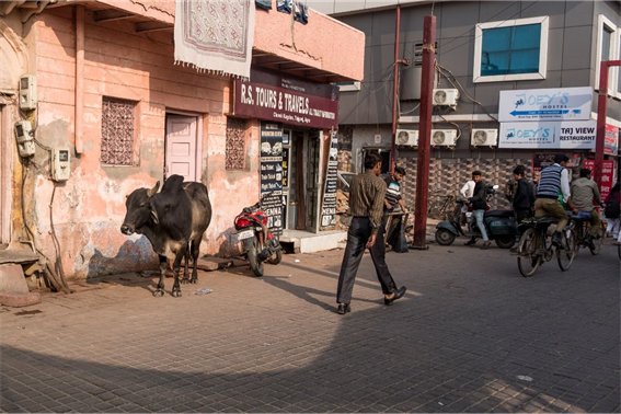 用走来走去造句