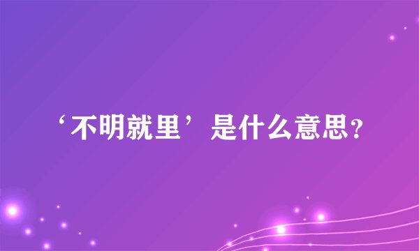 ‘不明就里’是什么意思？