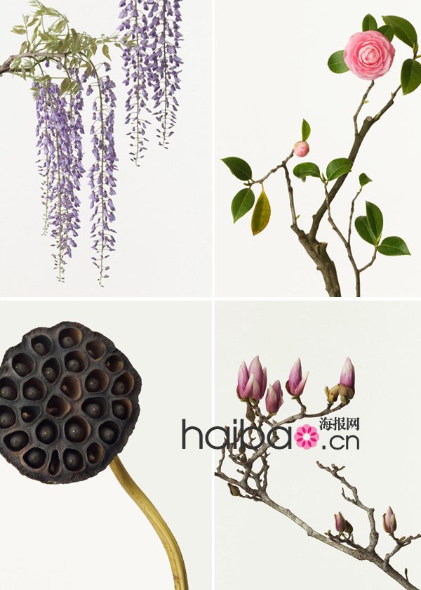 花鸟玲爱的线路攻略