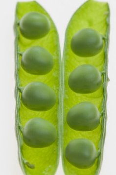 pea是什么意思英语