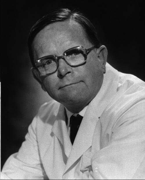 凡采尼的凡采尼历史