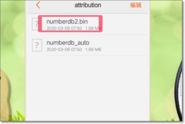 怎样打开手机里的. bin文件。?