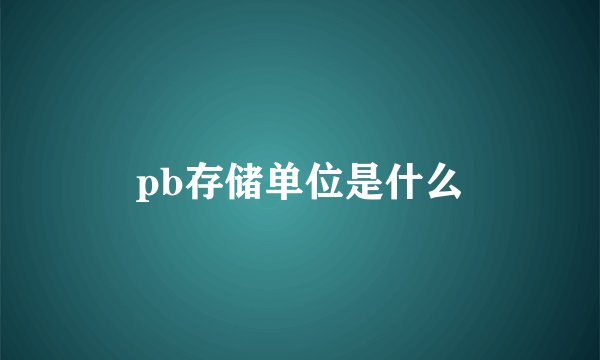 pb存储单位是什么
