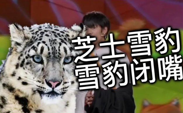 芝士雪豹笑点在哪