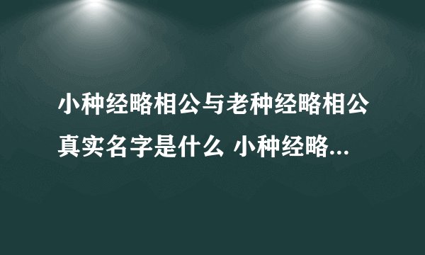 小种经略相公与老种经略相公真实名字是什么 小种经略相公是什么官