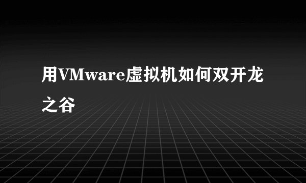 用VMware虚拟机如何双开龙之谷
