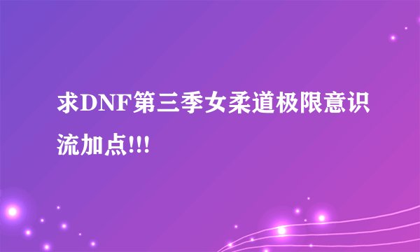 求DNF第三季女柔道极限意识流加点!!!