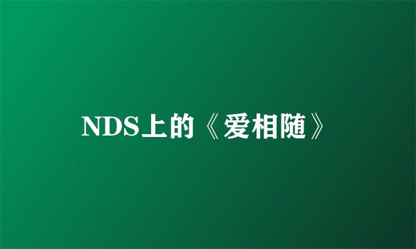 NDS上的《爱相随》