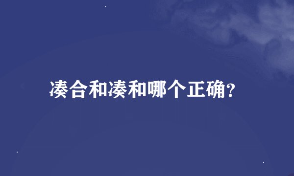 凑合和凑和哪个正确?
