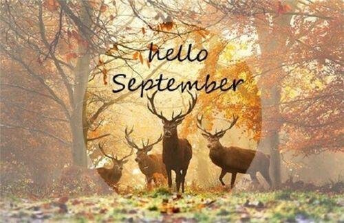 九月英文怎么读