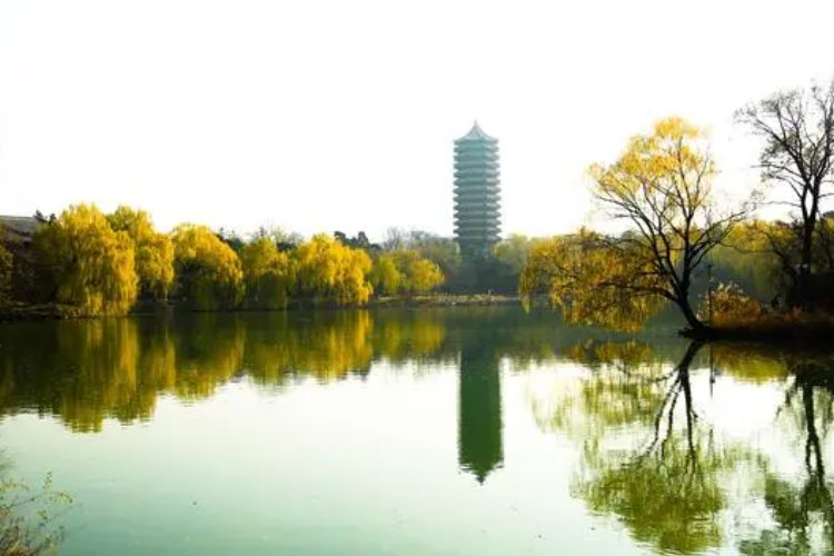 北京大学录取分