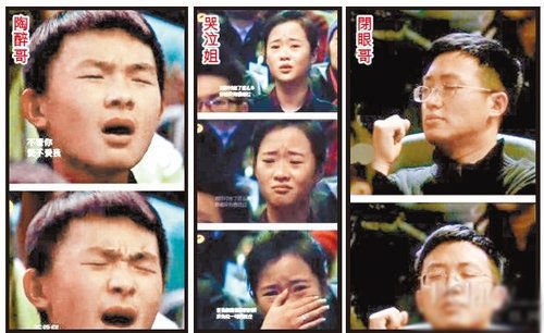 职业观众的简介