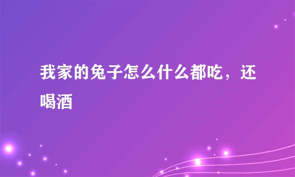 我家的兔子怎么什么都吃，还喝酒