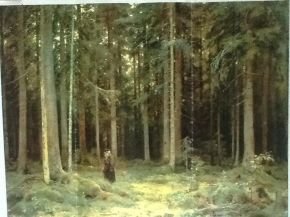 特菲娜的特菲娜 - 背景