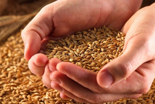 粮食多一点少一点是战术问题粮食安全是什么问题