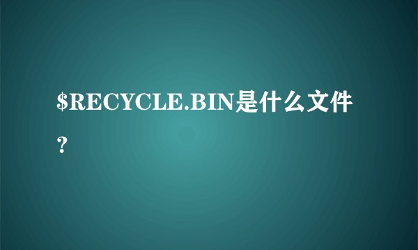 $RECYCLE.BIN是什么文件？