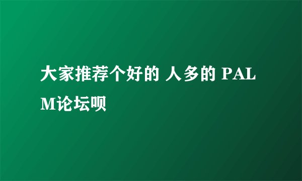 大家推荐个好的 人多的 PALM论坛呗
