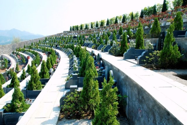 什么是陵园？陵园和公墓有什么区别？