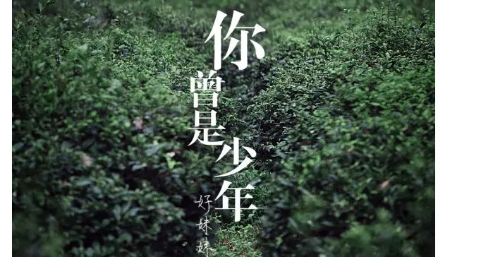 你已不是当初的少年是什么歌