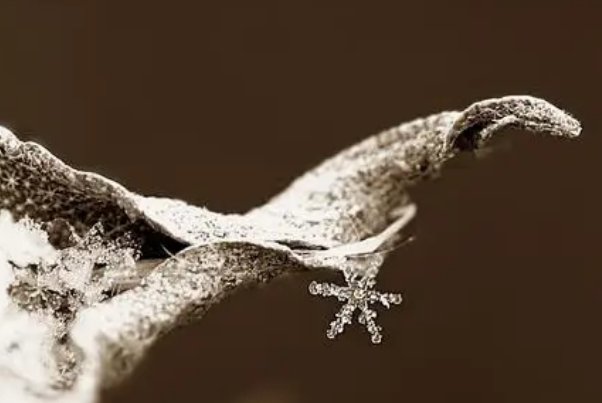 in the future怎么读