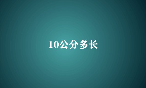 10公分多长