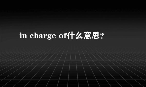 in charge of什么意思？