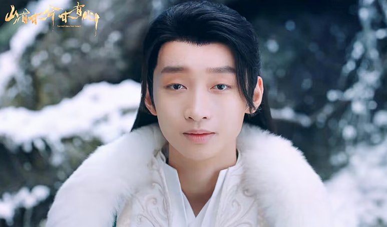 山有木兮木有心剧情介绍