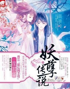 妖孽十三枚的内容简介