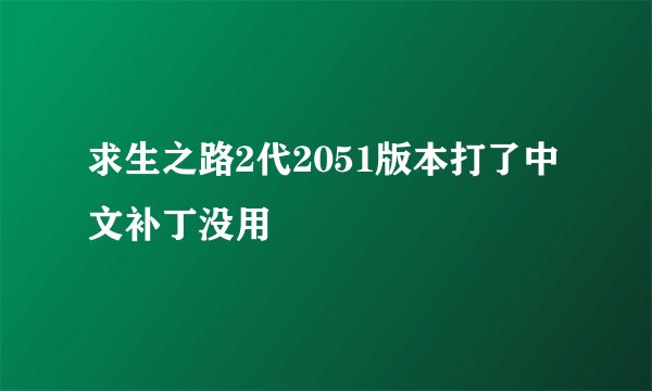 求生之路2代2051版本打了中文补丁没用