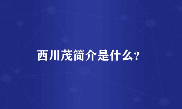 西川茂简介是什么？