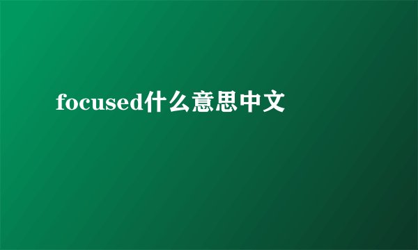 focused什么意思中文