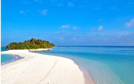 电脑怎么返回主页