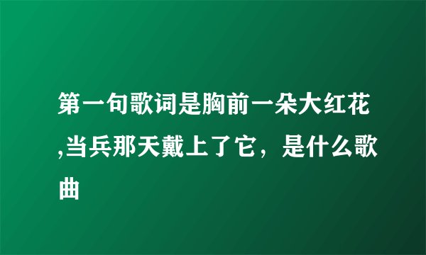 第一句歌词是胸前一朵大红花,当兵那天戴上了它，是什么歌曲