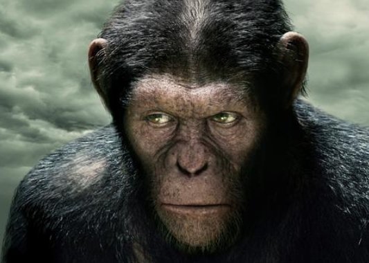 《猩球崛起》凯撒的结局是什么？