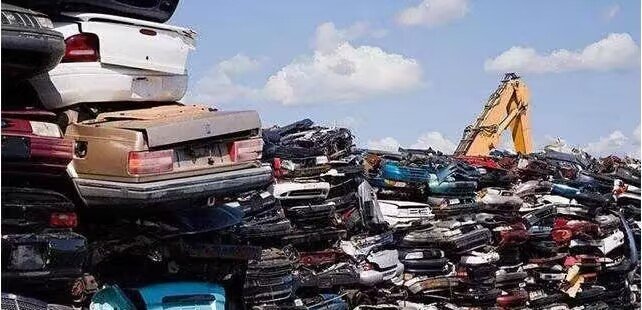 山货是什么意思