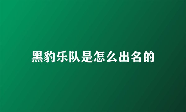黑豹乐队是怎么出名的