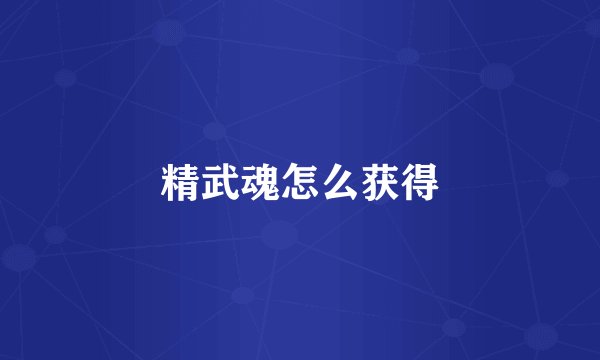 精武魂怎么获得