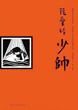 少帅的内容简介