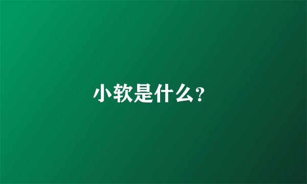 小软是什么？