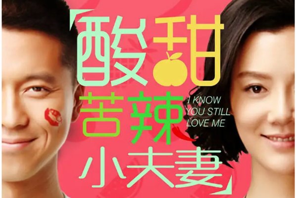 车晓主演的电视剧有哪些