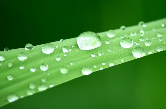 晶莹的什么填空