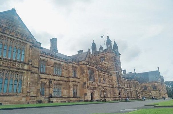 鹰院是哪个学院