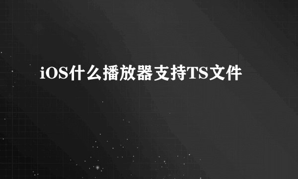 iOS什么播放器支持TS文件