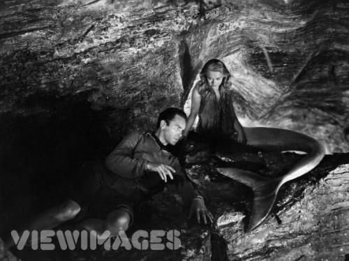 很早，讲的是一条美人鱼和女主角长得很像，两人互相交换身份，，谁有网址？找不到耶，谢谢，我会加分