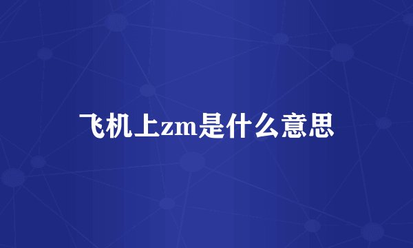 飞机上zm是什么意思