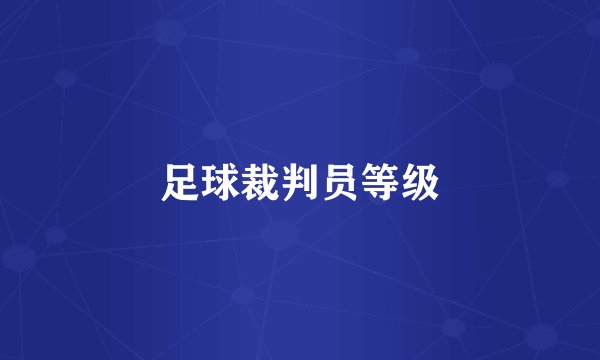 足球裁判员等级