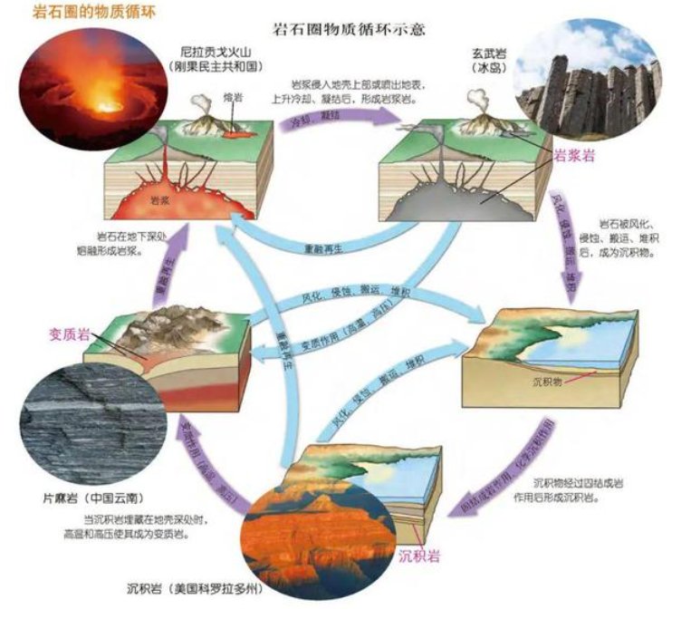 有机和无机的区别是什么？