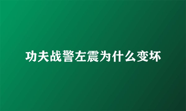 功夫战警左震为什么变坏