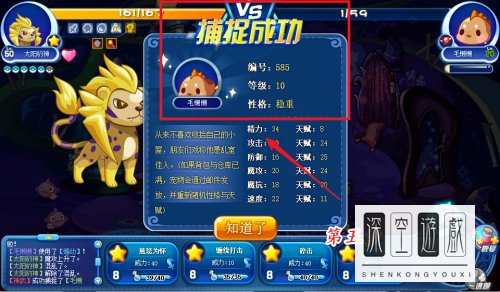 瓦斯叮当在哪里捕捉