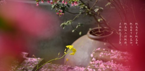 无花无酒锄作田，全文，出处，释疑